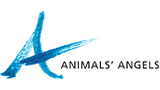 Animals Angels